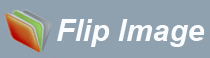 flip image logo